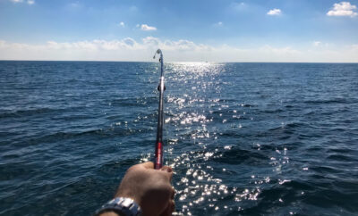 Sortie pêche en mer au départ de Carnon et Palavas : où et comment