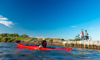 Le sentier du Cabanier : la nature de l&rsquo;étang de l&rsquo;Or à pied ou à vélo